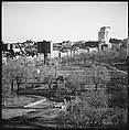 [219 Views of Boston Architecture, Commissioned by Fortune for "The Athenian Reach", Published June 1964], Walker Evans (American, St. Louis, Missouri 1903–1975 New Haven, Connecticut), Film negative