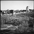 [219 Views of Boston Architecture, Commissioned by Fortune for "The Athenian Reach", Published June 1964], Walker Evans (American, St. Louis, Missouri 1903–1975 New Haven, Connecticut), Film negative