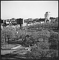 [219 Views of Boston Architecture, Commissioned by Fortune for "The Athenian Reach", Published June 1964], Walker Evans (American, St. Louis, Missouri 1903–1975 New Haven, Connecticut), Film negative