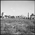 [219 Views of Boston Architecture, Commissioned by Fortune for "The Athenian Reach", Published June 1964], Walker Evans (American, St. Louis, Missouri 1903–1975 New Haven, Connecticut), Film negative