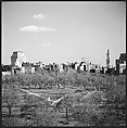 [219 Views of Boston Architecture, Commissioned by Fortune for "The Athenian Reach", Published June 1964], Walker Evans (American, St. Louis, Missouri 1903–1975 New Haven, Connecticut), Film negative