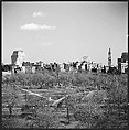 [219 Views of Boston Architecture, Commissioned by Fortune for "The Athenian Reach", Published June 1964], Walker Evans (American, St. Louis, Missouri 1903–1975 New Haven, Connecticut), Film negative