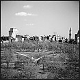 [219 Views of Boston Architecture, Commissioned by Fortune for "The Athenian Reach", Published June 1964], Walker Evans (American, St. Louis, Missouri 1903–1975 New Haven, Connecticut), Film negative
