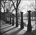 [219 Views of Boston Architecture, Commissioned by Fortune for "The Athenian Reach", Published June 1964], Walker Evans (American, St. Louis, Missouri 1903–1975 New Haven, Connecticut), Film negative