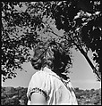 [151 Views of Rural and Suburban Illinois, Including: Farmlands and Architecture, Graveyards, Galena Scenes, Portraits of Suzette Morton Hamill, and Glencoe House, Lake Forest], Walker Evans (American, St. Louis, Missouri 1903–1975 New Haven, Connecticut), Film negative