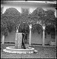 [151 Views of Rural and Suburban Illinois, Including: Farmlands and Architecture, Graveyards, Galena Scenes, Portraits of Suzette Morton Hamill, and Glencoe House, Lake Forest], Walker Evans (American, St. Louis, Missouri 1903–1975 New Haven, Connecticut), Film negative