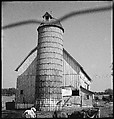 [151 Views of Rural and Suburban Illinois, Including: Farmlands and Architecture, Graveyards, Galena Scenes, Portraits of Suzette Morton Hamill, and Glencoe House, Lake Forest], Walker Evans (American, St. Louis, Missouri 1903–1975 New Haven, Connecticut), Film negative