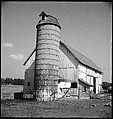 [151 Views of Rural and Suburban Illinois, Including: Farmlands and Architecture, Graveyards, Galena Scenes, Portraits of Suzette Morton Hamill, and Glencoe House, Lake Forest], Walker Evans (American, St. Louis, Missouri 1903–1975 New Haven, Connecticut), Film negative