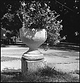 [151 Views of Rural and Suburban Illinois, Including: Farmlands and Architecture, Graveyards, Galena Scenes, Portraits of Suzette Morton Hamill, and Glencoe House, Lake Forest], Walker Evans (American, St. Louis, Missouri 1903–1975 New Haven, Connecticut), Film negative
