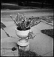 [151 Views of Rural and Suburban Illinois, Including: Farmlands and Architecture, Graveyards, Galena Scenes, Portraits of Suzette Morton Hamill, and Glencoe House, Lake Forest], Walker Evans (American, St. Louis, Missouri 1903–1975 New Haven, Connecticut), Film negative