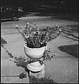 [151 Views of Rural and Suburban Illinois, Including: Farmlands and Architecture, Graveyards, Galena Scenes, Portraits of Suzette Morton Hamill, and Glencoe House, Lake Forest], Walker Evans (American, St. Louis, Missouri 1903–1975 New Haven, Connecticut), Film negative