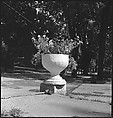 [151 Views of Rural and Suburban Illinois, Including: Farmlands and Architecture, Graveyards, Galena Scenes, Portraits of Suzette Morton Hamill, and Glencoe House, Lake Forest], Walker Evans (American, St. Louis, Missouri 1903–1975 New Haven, Connecticut), Film negative
