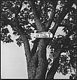 [151 Views of Rural and Suburban Illinois, Including: Farmlands and Architecture, Graveyards, Galena Scenes, Portraits of Suzette Morton Hamill, and Glencoe House, Lake Forest], Walker Evans (American, St. Louis, Missouri 1903–1975 New Haven, Connecticut), Film negative