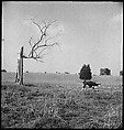 [151 Views of Rural and Suburban Illinois, Including: Farmlands and Architecture, Graveyards, Galena Scenes, Portraits of Suzette Morton Hamill, and Glencoe House, Lake Forest], Walker Evans (American, St. Louis, Missouri 1903–1975 New Haven, Connecticut), Film negative