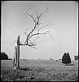 [151 Views of Rural and Suburban Illinois, Including: Farmlands and Architecture, Graveyards, Galena Scenes, Portraits of Suzette Morton Hamill, and Glencoe House, Lake Forest], Walker Evans (American, St. Louis, Missouri 1903–1975 New Haven, Connecticut), Film negative