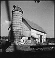 [151 Views of Rural and Suburban Illinois, Including: Farmlands and Architecture, Graveyards, Galena Scenes, Portraits of Suzette Morton Hamill, and Glencoe House, Lake Forest], Walker Evans (American, St. Louis, Missouri 1903–1975 New Haven, Connecticut), Film negative