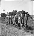 [151 Views of Rural and Suburban Illinois, Including: Farmlands and Architecture, Graveyards, Galena Scenes, Portraits of Suzette Morton Hamill, and Glencoe House, Lake Forest], Walker Evans (American, St. Louis, Missouri 1903–1975 New Haven, Connecticut), Film negative