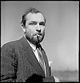 [24 Portraits of Robert Fitzgerald, New York City], Walker Evans (American, St. Louis, Missouri 1903–1975 New Haven, Connecticut), Film negative