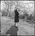[168 Portraits, Views, and Studies: Unidentified Woman Looking at Photographs with Friend, Walking in Central Park Zoo, and Related Park and Skyline Views, New York City], Walker Evans (American, St. Louis, Missouri 1903–1975 New Haven, Connecticut), Film negative