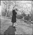[168 Portraits, Views, and Studies: Unidentified Woman Looking at Photographs with Friend, Walking in Central Park Zoo, and Related Park and Skyline Views, New York City], Walker Evans (American, St. Louis, Missouri 1903–1975 New Haven, Connecticut), Film negative