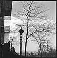 [168 Portraits, Views, and Studies: Unidentified Woman Looking at Photographs with Friend, Walking in Central Park Zoo, and Related Park and Skyline Views, New York City], Walker Evans (American, St. Louis, Missouri 1903–1975 New Haven, Connecticut), Film negative