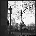 [168 Portraits, Views, and Studies: Unidentified Woman Looking at Photographs with Friend, Walking in Central Park Zoo, and Related Park and Skyline Views, New York City], Walker Evans (American, St. Louis, Missouri 1903–1975 New Haven, Connecticut), Film negative