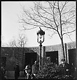 [168 Portraits, Views, and Studies: Unidentified Woman Looking at Photographs with Friend, Walking in Central Park Zoo, and Related Park and Skyline Views, New York City], Walker Evans (American, St. Louis, Missouri 1903–1975 New Haven, Connecticut), Film negative