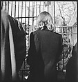 [168 Portraits, Views, and Studies: Unidentified Woman Looking at Photographs with Friend, Walking in Central Park Zoo, and Related Park and Skyline Views, New York City], Walker Evans (American, St. Louis, Missouri 1903–1975 New Haven, Connecticut), Film negative