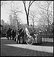 [168 Portraits, Views, and Studies: Unidentified Woman Looking at Photographs with Friend, Walking in Central Park Zoo, and Related Park and Skyline Views, New York City], Walker Evans (American, St. Louis, Missouri 1903–1975 New Haven, Connecticut), Film negative