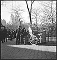 [168 Portraits, Views, and Studies: Unidentified Woman Looking at Photographs with Friend, Walking in Central Park Zoo, and Related Park and Skyline Views, New York City], Walker Evans (American, St. Louis, Missouri 1903–1975 New Haven, Connecticut), Film negative