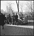 [168 Portraits, Views, and Studies: Unidentified Woman Looking at Photographs with Friend, Walking in Central Park Zoo, and Related Park and Skyline Views, New York City], Walker Evans (American, St. Louis, Missouri 1903–1975 New Haven, Connecticut), Film negative