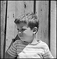 [38 Portraits and Views: Michael Voorhees (14) and Walker Evans' Studio Addition Under Construction (24), Old Lyme, Connecticut], Walker Evans (American, St. Louis, Missouri 1903–1975 New Haven, Connecticut), Film negative