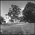 [12 Views and Studies: Voorhees House, Old Lyme, Connecticut (9), and Racetrack Scenes (3)], Walker Evans (American, St. Louis, Missouri 1903–1975 New Haven, Connecticut), Film negative