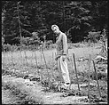 [56 Portraits of Calvert and Susanna Coggeshall and Family, Including Portraits of Isabelle Evans and Interior and Exterior Views of House, Maine], Walker Evans (American, St. Louis, Missouri 1903–1975 New Haven, Connecticut), Film negative