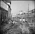 [90 Interior and Exterior Views of the Heliker House and Portraits of Sue Hillis and Others, Cranberry Island, Maine], Walker Evans (American, St. Louis, Missouri 1903–1975 New Haven, Connecticut), Film negative