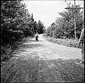 [12 Portraits of Robert LaHotan, Cranberry Island, Maine], Walker Evans (American, St. Louis, Missouri 1903–1975 New Haven, Connecticut), Film negative