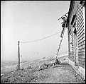 [231 Interior and Exterior Views of Robert Frank's House and Portraits of Robert Frank and June Leaf, Nova Scotia; also Interior Studies of the Heliker House, Cranberry Island, Maine], Walker Evans (American, St. Louis, Missouri 1903–1975 New Haven, Connecticut), Film negative