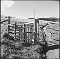 [36 Views of Fence and Path Leading to Robert Frank's House, Nova Scotia], Walker Evans (American, St. Louis, Missouri 1903–1975 New Haven, Connecticut), Film negative