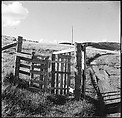 [36 Views of Fence and Path Leading to Robert Frank's House, Nova Scotia], Walker Evans (American, St. Louis, Missouri 1903–1975 New Haven, Connecticut), Film negative