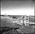 [36 Views of Fence and Path Leading to Robert Frank's House, Nova Scotia], Walker Evans (American, St. Louis, Missouri 1903–1975 New Haven, Connecticut), Film negative