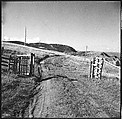 [36 Views of Fence and Path Leading to Robert Frank's House, Nova Scotia], Walker Evans (American, St. Louis, Missouri 1903–1975 New Haven, Connecticut), Film negative
