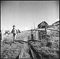 [36 Views of Fence and Path Leading to Robert Frank's House, Nova Scotia], Walker Evans (American, St. Louis, Missouri 1903–1975 New Haven, Connecticut), Film negative