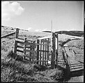 [36 Views of Fence and Path Leading to Robert Frank's House, Nova Scotia], Walker Evans (American, St. Louis, Missouri 1903–1975 New Haven, Connecticut), Film negative