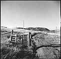 [36 Views of Fence and Path Leading to Robert Frank's House, Nova Scotia], Walker Evans (American, St. Louis, Missouri 1903–1975 New Haven, Connecticut), Film negative