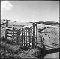 [36 Views of Fence and Path Leading to Robert Frank's House, Nova Scotia], Walker Evans (American, St. Louis, Missouri 1903–1975 New Haven, Connecticut), Film negative