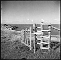 [36 Views of Fence and Path Leading to Robert Frank's House, Nova Scotia], Walker Evans (American, St. Louis, Missouri 1903–1975 New Haven, Connecticut), Film negative