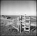 [36 Views of Fence and Path Leading to Robert Frank's House, Nova Scotia], Walker Evans (American, St. Louis, Missouri 1903–1975 New Haven, Connecticut), Film negative
