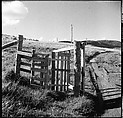 [36 Views of Fence and Path Leading to Robert Frank's House, Nova Scotia], Walker Evans (American, St. Louis, Missouri 1903–1975 New Haven, Connecticut), Film negative