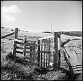 [36 Views of Fence and Path Leading to Robert Frank's House, Nova Scotia], Walker Evans (American, St. Louis, Missouri 1903–1975 New Haven, Connecticut), Film negative