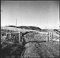 [36 Views of Fence and Path Leading to Robert Frank's House, Nova Scotia], Walker Evans (American, St. Louis, Missouri 1903–1975 New Haven, Connecticut), Film negative